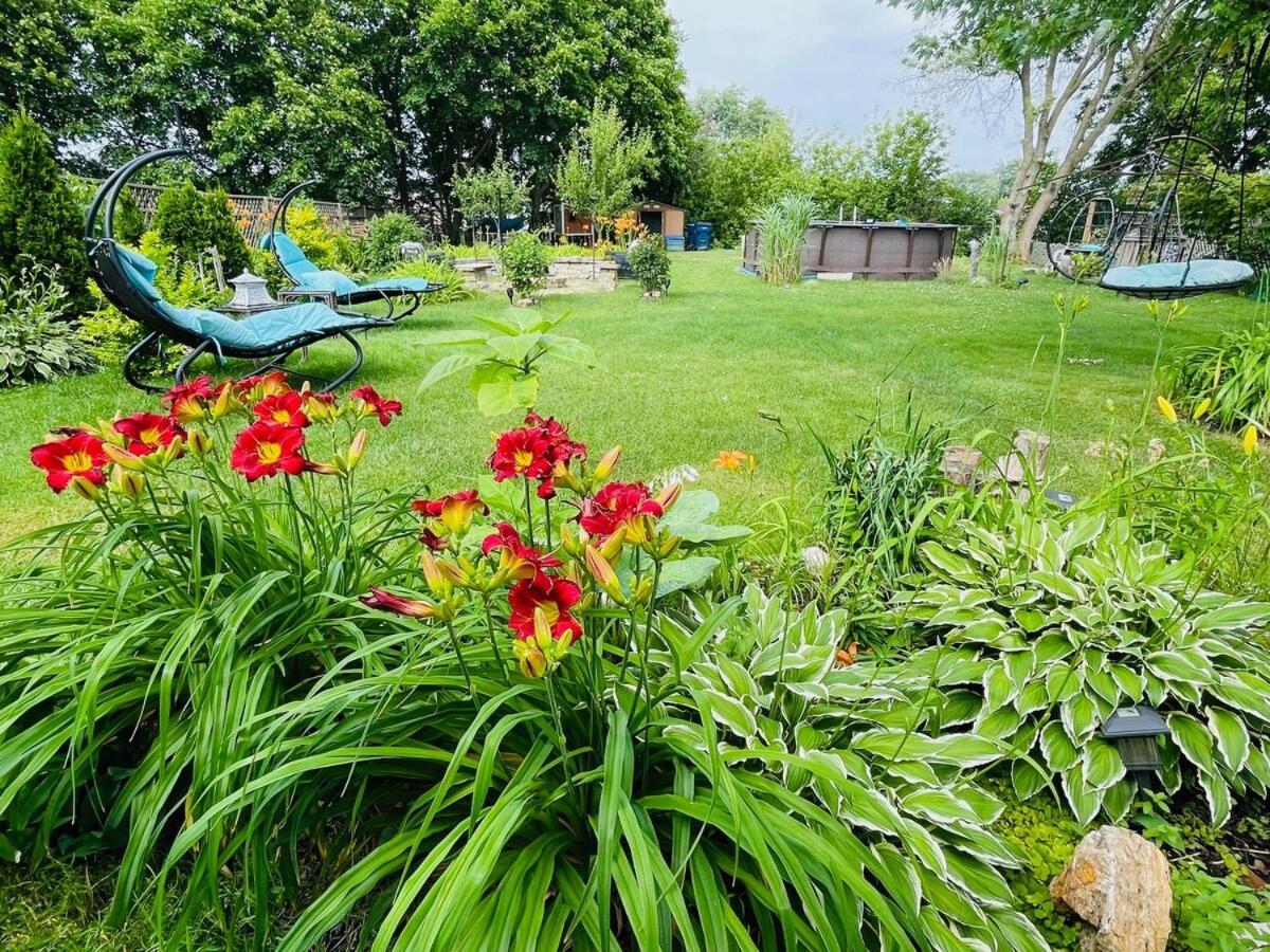 Schaumburg Paradise Oasis With A Secret Garden And Private Pool Экстерьер фото